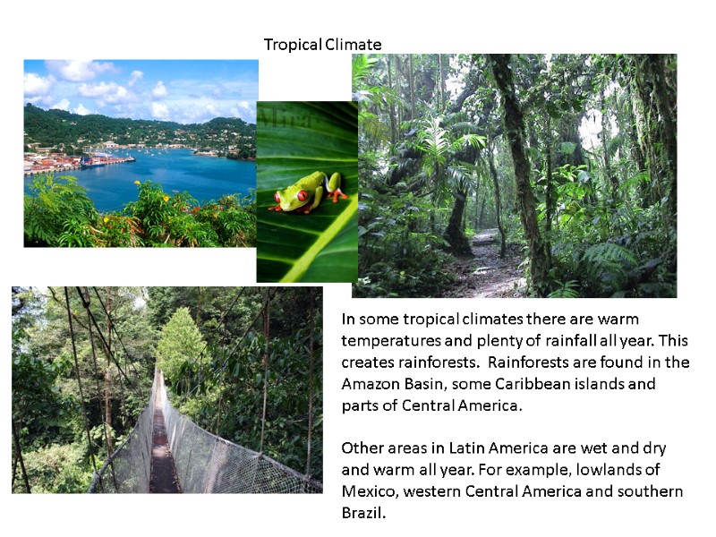 Tropical Climate In some tropical climates there are warm temperatures and plenty of rainfall